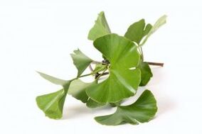 Ginkgo biloba peenise suurendamiseks